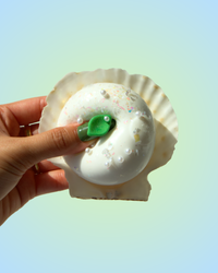Seashell Squishy
