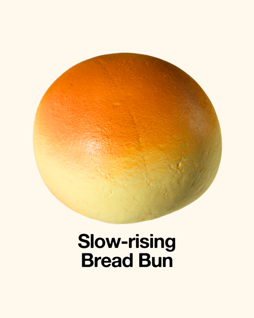 Bread Bun Squishy