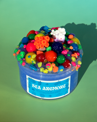 Sea Anemone