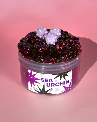 Sea Urchin