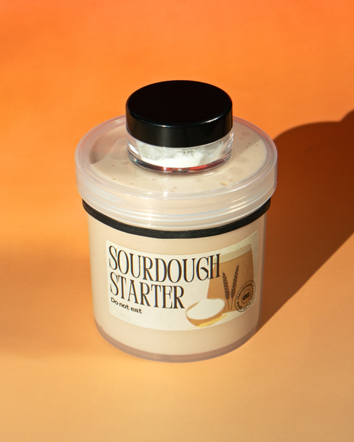 Sourdough Starter